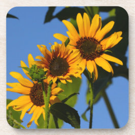 フローレスen mi hierbas "私の雑草の花" コースター