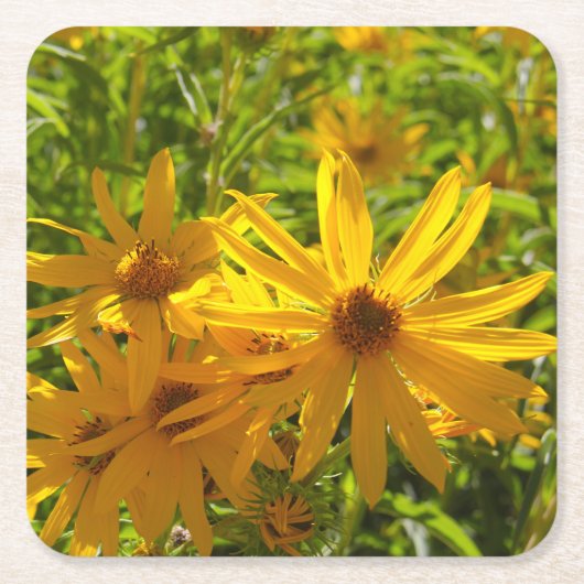 フローレスen mi hierbas "私の雑草の花" スクエアペーパーコースター (正面)