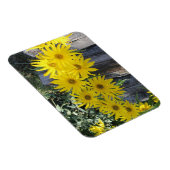 フローレスen mi hierbas "私の雑草の花" マグネット (右側)