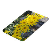 フローレスen mi hierbas "私の雑草の花" マグネット (左側)