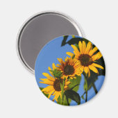 フローレスen mi hierbas "私の雑草の花" マグネット (正面/裏面)