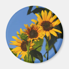 フローレスen mi hierbas "私の雑草の花" マグネット