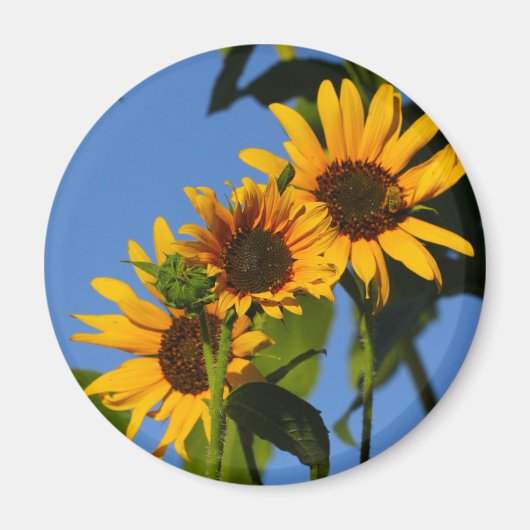 フローレスen mi hierbas "私の雑草の花" マグネット (正面)