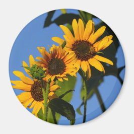 フローレスen mi hierbas "私の雑草の花" マグネット