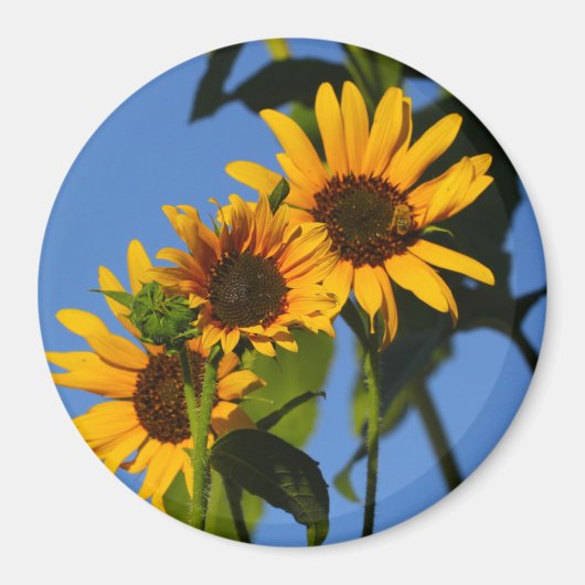 フローレスen mi hierbas "私の雑草の花" マグネット (正面)