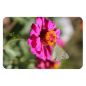 フローレスen mi hierbas "私の雑草の花" マグネット (横)