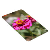 フローレスen mi hierbas "私の雑草の花" マグネット (右側)