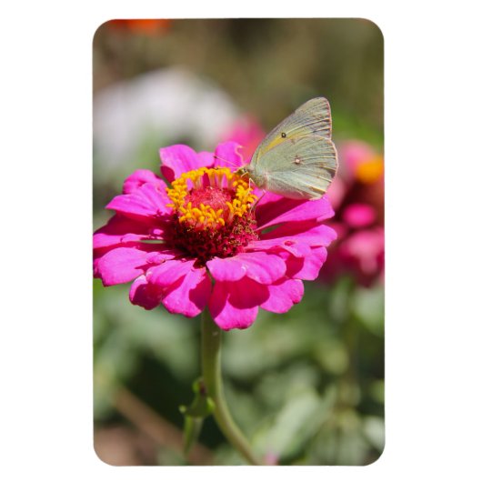 フローレスen mi hierbas "私の雑草の花" マグネット (縦)