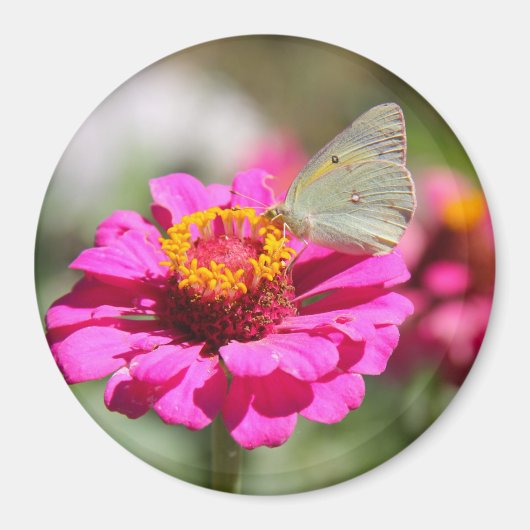 フローレスen mi hierbas "私の雑草の花" マグネット (正面)