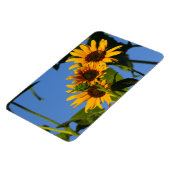 フローレスen mi hierbas "私の雑草の花" マグネット (左側)