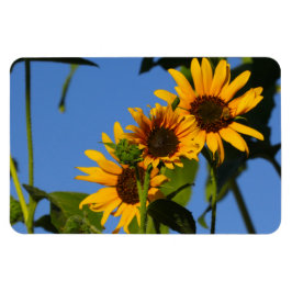 フローレスen mi hierbas "私の雑草の花" マグネット