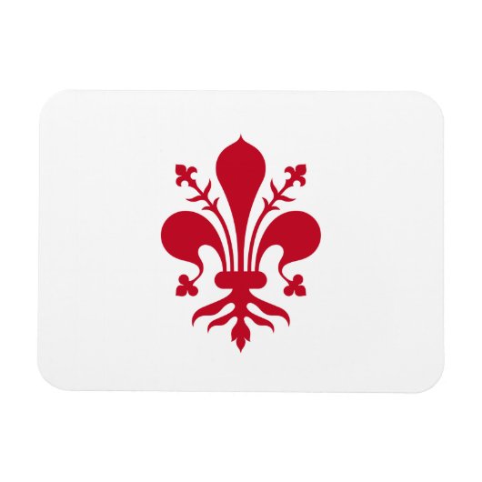 フローレンス国旗を持つフレキシブルなフォトマグネット マグネット (横)