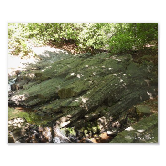 フロー フォトプリント            (正面)