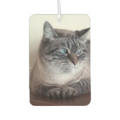 フロ子猫カート カーエアーフレッシュナー (正面)