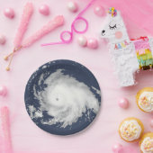 フロ、ダメ!ハリケーンフィレンツェ2018 ペーパープレート (パーティー)