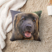 フワフィレンベルガー犬 クッション (ブランケット)