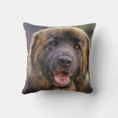 フワフィレンベルガー犬 クッション (裏面)