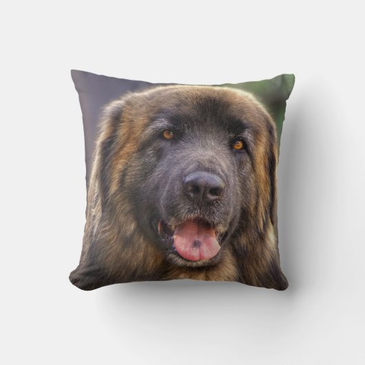 フワフィレンベルガー犬 クッション (正面)