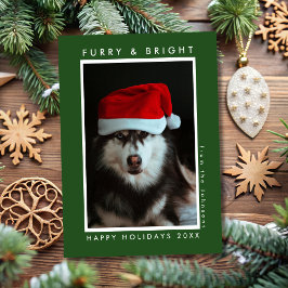 フワフワで明るい肉球のグリーンペットの写真のクリスマス シーズンカード