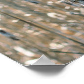 フワフワのカタイル春自然 ポスター (角)