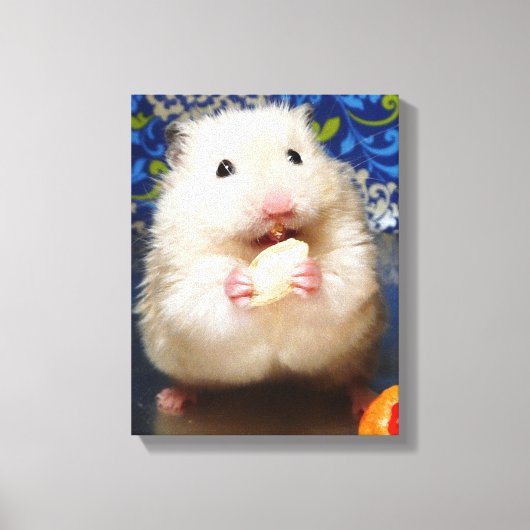 フワフワのシリアのハムスターコリンカ キャンバスプリント (正面)
