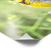 フワフワのミャドウラルク フォトプリント            (角)