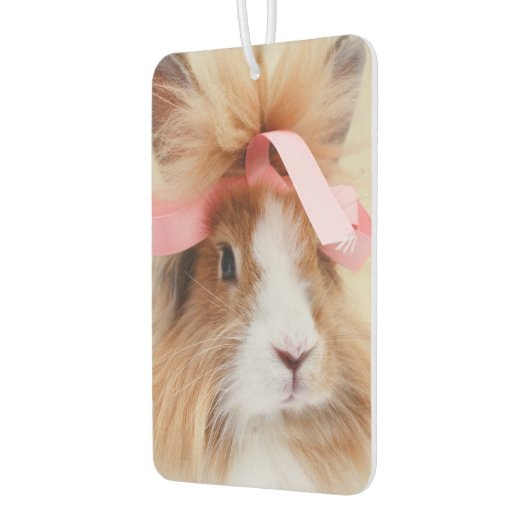 フワフワのライオンヘッドバニーウサギ カーエアーフレッシュナー (左)