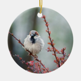 フワフワの塊 セラミックオーナメント