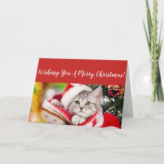 フワフワの子猫のクリスマスカード シーズンカード (正面)