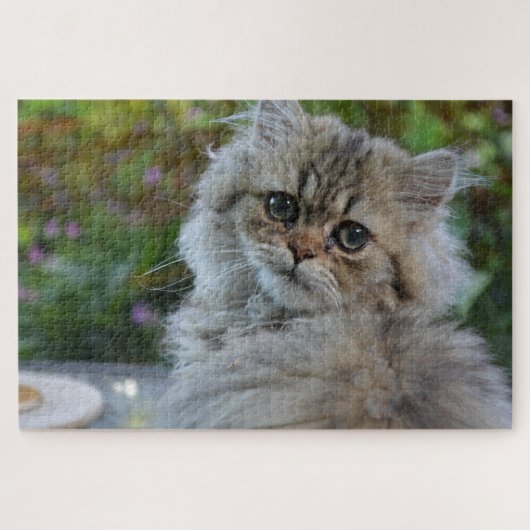 フワフワの猫パズル ジグソーパズル (横)