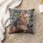 フワフワの甘いカリコタビーキャット クッション (ブランケット)