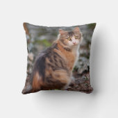 フワフワの甘いカリコタビーキャット クッション (裏面)