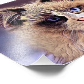 フワフワの美しい猫 フォトプリント            (角)