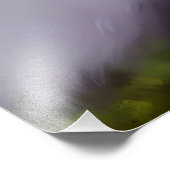 フワフワの美絵画しい猫 フォトプリント            (角)