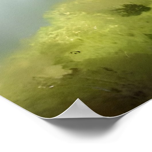 フワフワの美絵画しい猫 ポスター (角)