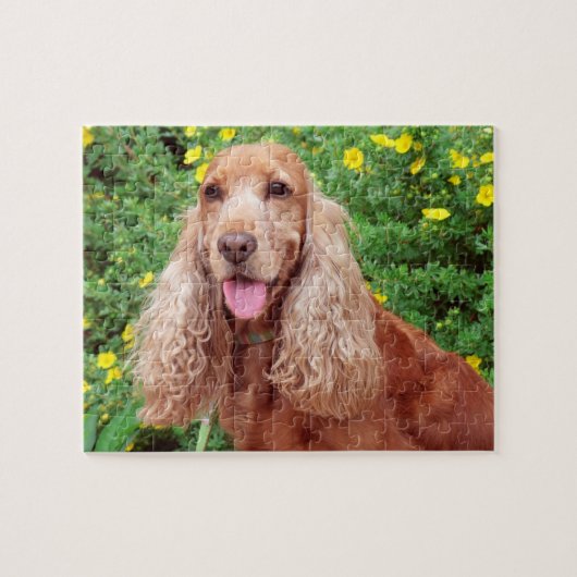 フワフワの茶色の犬 ジグソーパズル (横)