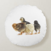 フワフワの雛 ラウンドクッション (正面)