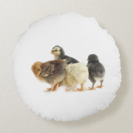 フワフワの雛 ラウンドクッション