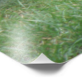 フワフワ灰色リスの写真プリント フォトプリント            (角)