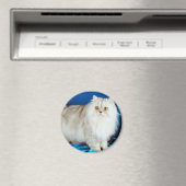 フワフワ猫 マグネット (インサイチュ (食洗機))