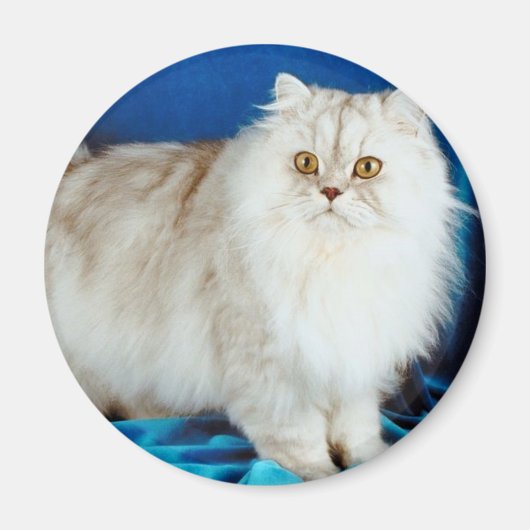 フワフワ猫 マグネット (正面)