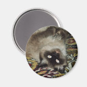 フワフワ猫 マグネット (正面/裏面)