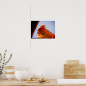 フワフワ ポスター (キッチン)