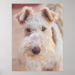 フワフワAiredale Welshテリア型ドッグパピー ポスター