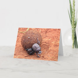 フンが起こる シーズンカード