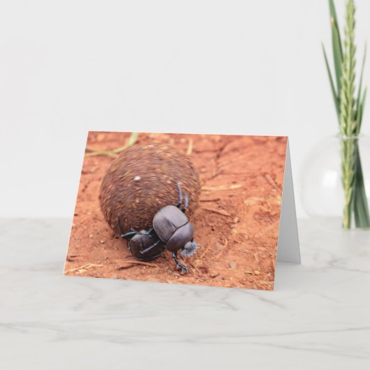 フンが起こる シーズンカード (正面)