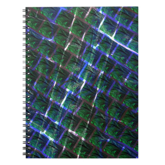 フンド・デイメム・ヴェルデ・ソブ級フルトゥアンテ？ ノートブック (正面)