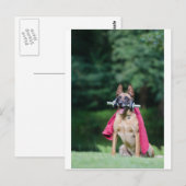 フンド・ベイム・フィッツテン ポストカード (正面/裏面)