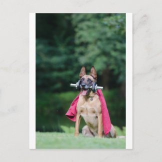 フンド・ベイム・フィッツテン ポストカード