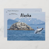 フンバックホエールケナイフィヨルド国立公園アラスカ ポストカード (正面/裏面)